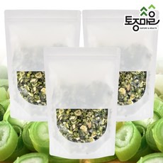 건대파