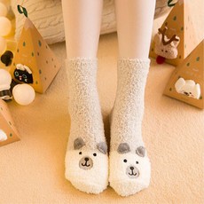 병아리양말
