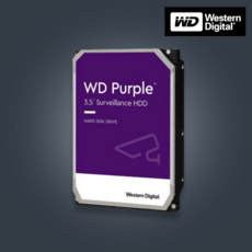 웨스턴디지털 WD Purple Pro 10TB CCTV 하드디스크 보안용하드 HDD, 1개 - HDD