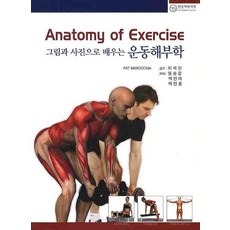 운동해부학