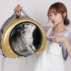 [실버플라워]반려동물 이동가방 동물외출가방 백팩CW016, 은색, 1개