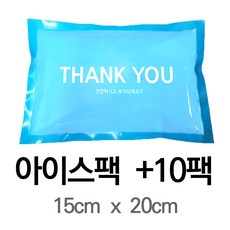 100일 아이스팩+10개, 10개