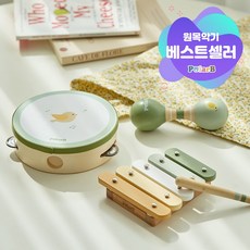 폴라비 유아 아기 원목 리듬 악기 놀이 세트, 그린, 1개 그린