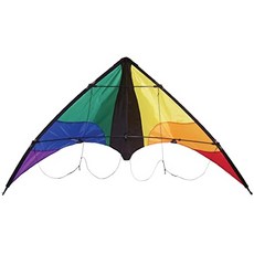 NMT Colorwave 48 인치 스턴트 카이트-듀얼 라인 스포츠 카이트-카이트 라인 및 가방 [Colorwave] - P0810007E90IHK1