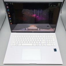 LG전자 17인치 그램 17Z95P-GA70K 신품급 중고노트북, WIN11 Home, 8GB, 256GB, 코어i7, 화이트