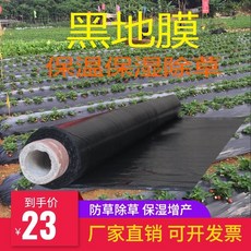 8045fd0a692641ea4e68fedc70e177e0711cf7b628d392879c97686b2399.jpeg