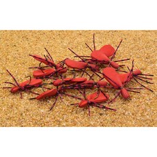  베이스 송어 블루길 등을 위한 파리 낚시용 폼 거미 1마리, Red 