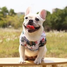 도그월드 강아지옷 봄 여름 하와이안 셔츠 XS-5XL, 하와이안 셔츠 화이트