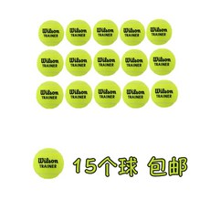 윌슨트레이너볼