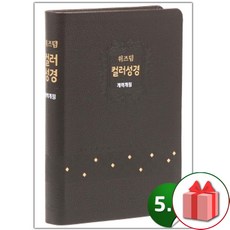 선물+위즈덤 [개역개정]컬러성경-대(천연우피/무지퍼/초코)