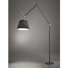 아르떼미데톨로메오메가