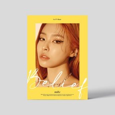 여미터미니시브리피
