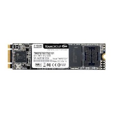 TeamGroup MS30 M2 SATA3 6Gbps SSD, 256GB