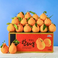 고당도 제주 한라봉 벌크, 1box, 5kg (21-25과)