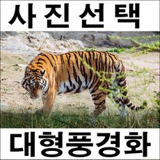 전주가족사진