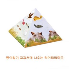 먹이피라미드