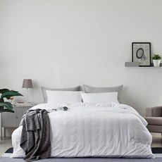 안티더스트알레르기이불k