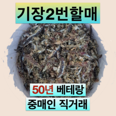 기장젓갈