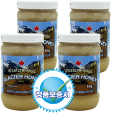 Western Sage _캐나다 빙하꿀 1kg x 4개 셋트 + 정품보증서_신규출시