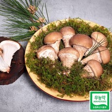 부여마켓 윤참버섯 참송이 버섯 1kg A급 달싱상회, 1개