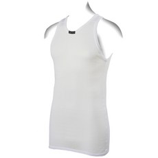 브린제슈퍼마이크로