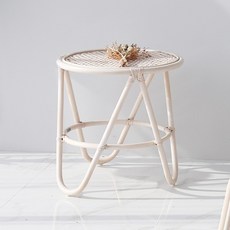 골든듀아스테리아