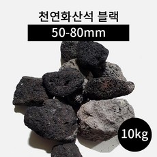 천연산호