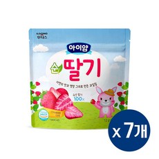 아이얌 동결건조 과일칩 순딸기, 12g, 7개