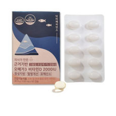 근거기반철분