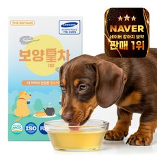 더보양 보양황차 강아지 고양이 마시는 천연 영양제, 40ml, 7팩