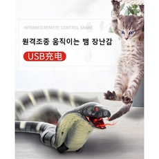 cdd737112265357e4ea7e08d196b499d92b580dbf20c9a03af95f25ad868.jpeg