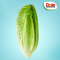 Dole 본사직영 통로메인1.5kg/알뜰형로메인 1kg 택1