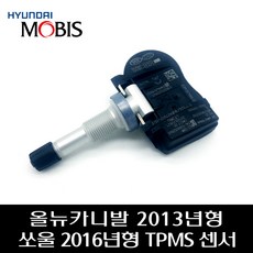 올뉴카니발tpms