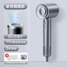 차이슨 드라이기 저소음 헤어드라이기 전문가용 호텔용 가벼운 여행용 헤어드라이기추천, 실버 + 돼지코