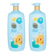 리엔 서향 샴푸 대용량 천리향, 950ml, 2개