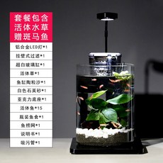 ca23288d16319f8a4af75edc3e957587c5a688d8ba1f08525b38581f5f42.jpg