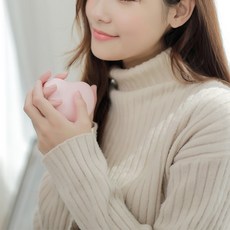 브링더홈칫솔살균기