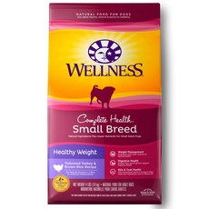 웰리힐리보드강습