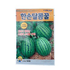 한손달콤꿀 수박 씨앗 100립 [24년포장] 조생계 소과종 수박 종자, 1개