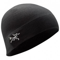 아크테릭스비니