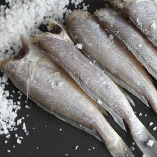 반건조두절파조기