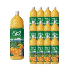 [롯데칠성음료] 제주사랑 감귤사랑 오렌지주스 1.5L 12페트 h, 12개