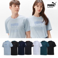 푸마기능성