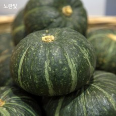노랑빛 뉴질랜드 단호박, 01. 단호박 5kg (5과내외)