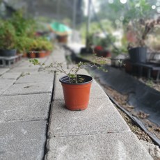 6ca6a34fef9c01d7c6a34463bab4bd977e319707a1bc4609b849ef170c2e.jpg
