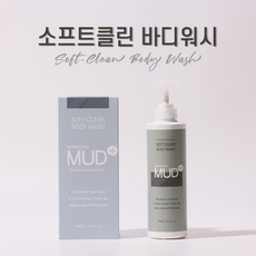 보령머드