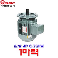 버티칼80