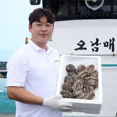 노화도 오남매전복 전복원조마을 선물용 가정용 활전복 산소포장 7~8미 1kg, 1세트, 종이상자(1kg~2kg전용)