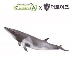 컬렉타 밍크고래 해양 동물 물고기 피규어 장난감 모형