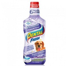 [시너지랩] 도그(Dog) 덴탈후레쉬 프라그치석 503ml, 1개